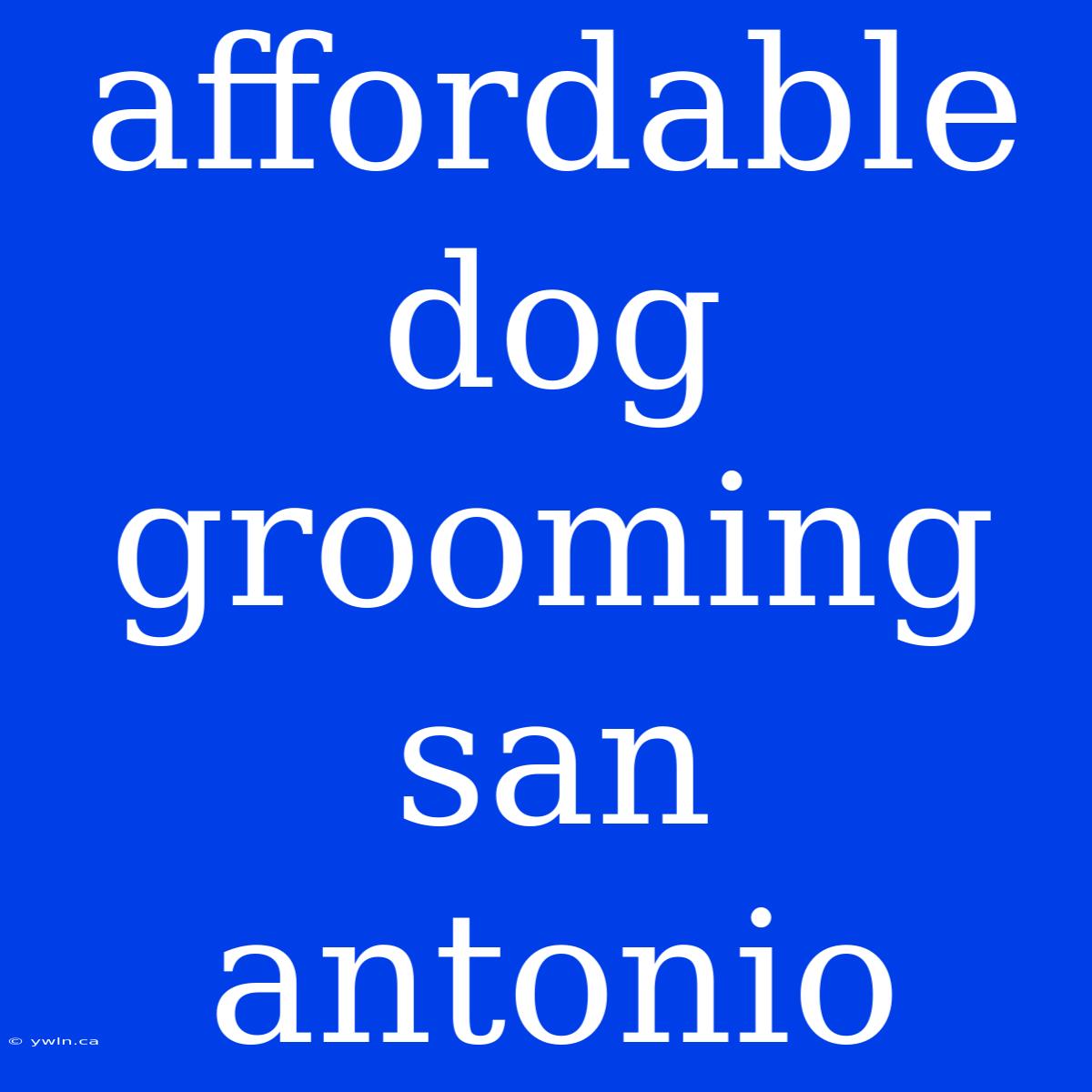 Affordable Dog Grooming San Antonio