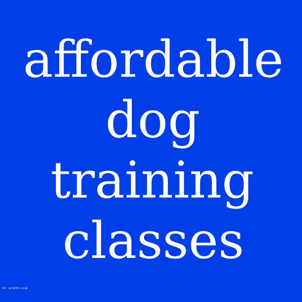 Affordable Dog Training Classes