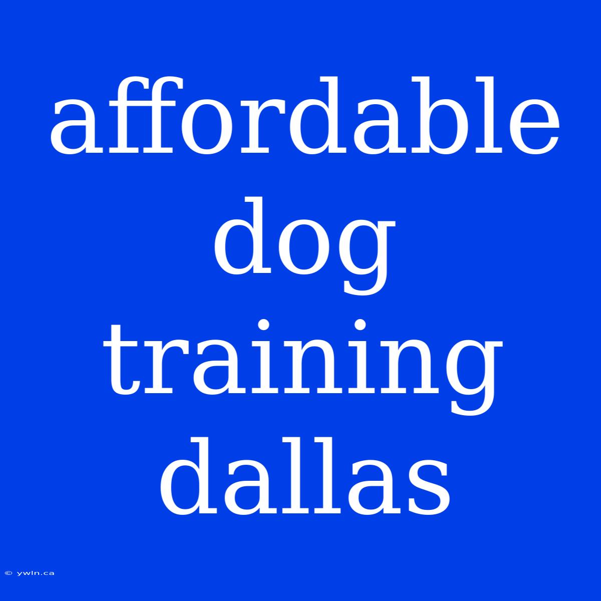 Affordable Dog Training Dallas