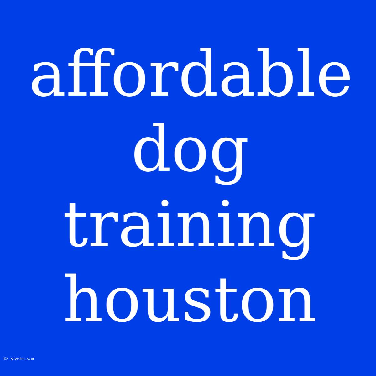 Affordable Dog Training Houston