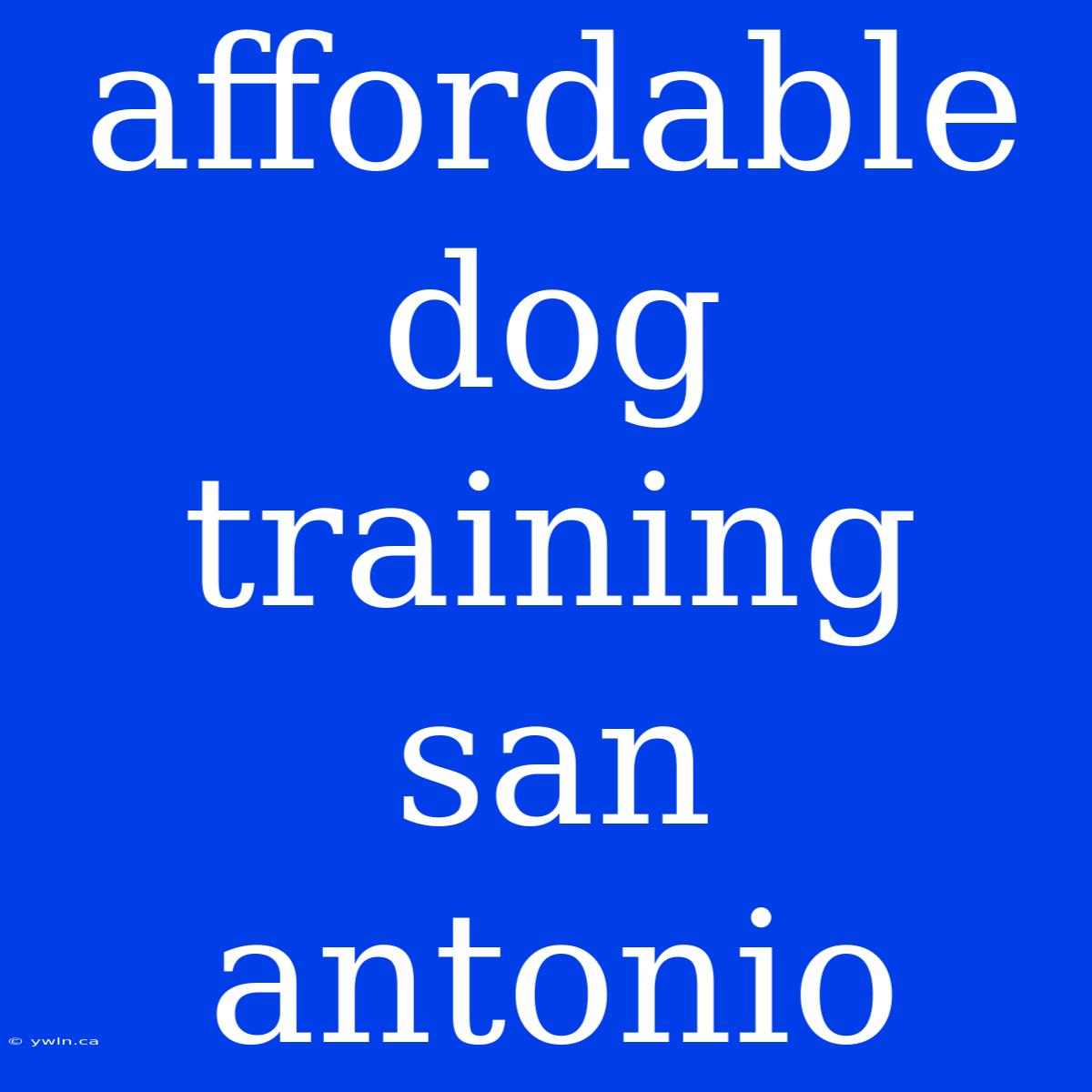 Affordable Dog Training San Antonio