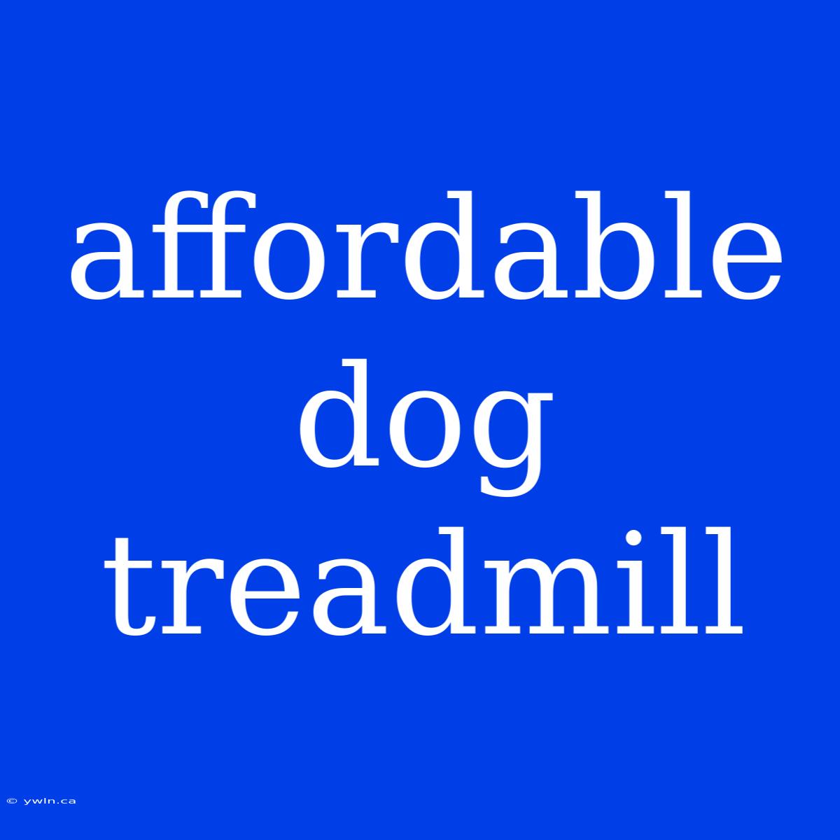 Affordable Dog Treadmill