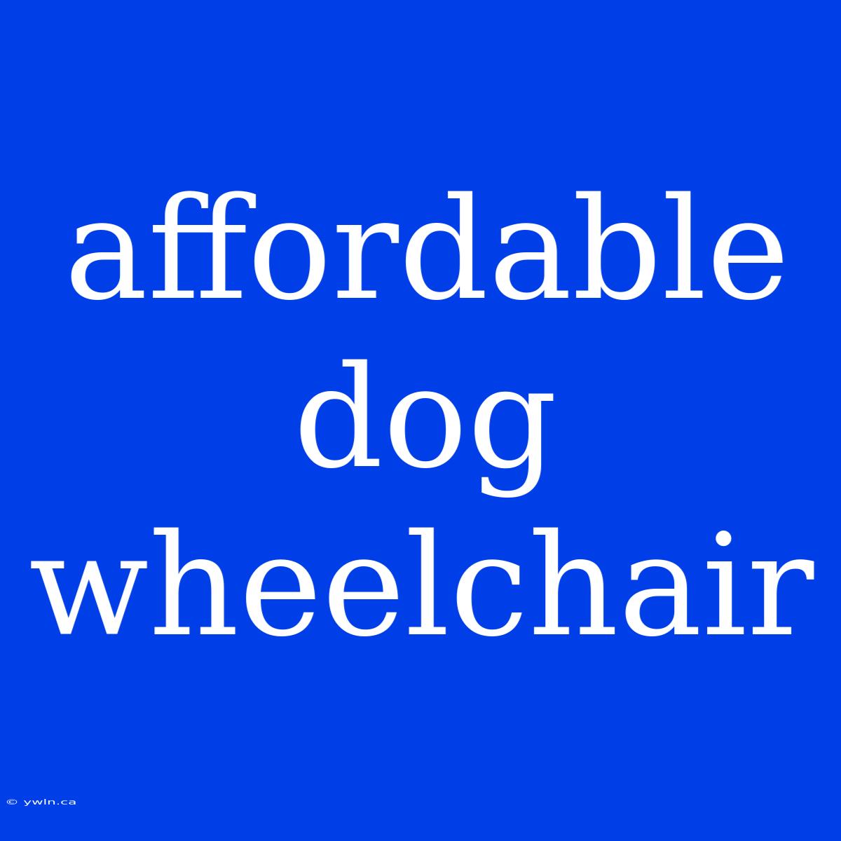 Affordable Dog Wheelchair