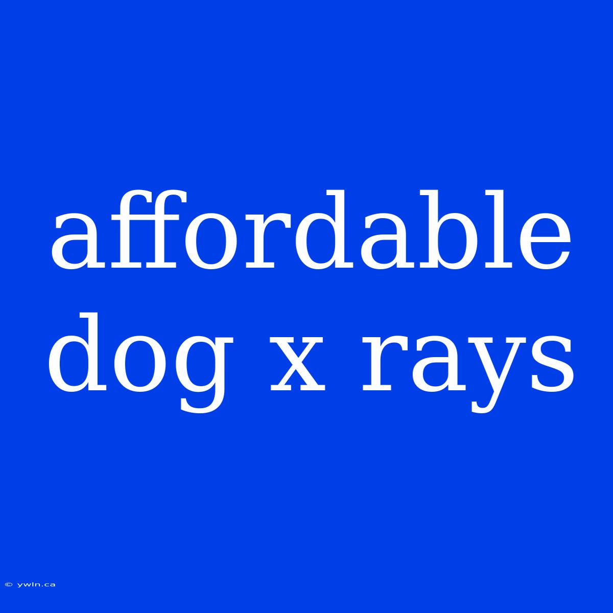 Affordable Dog X Rays