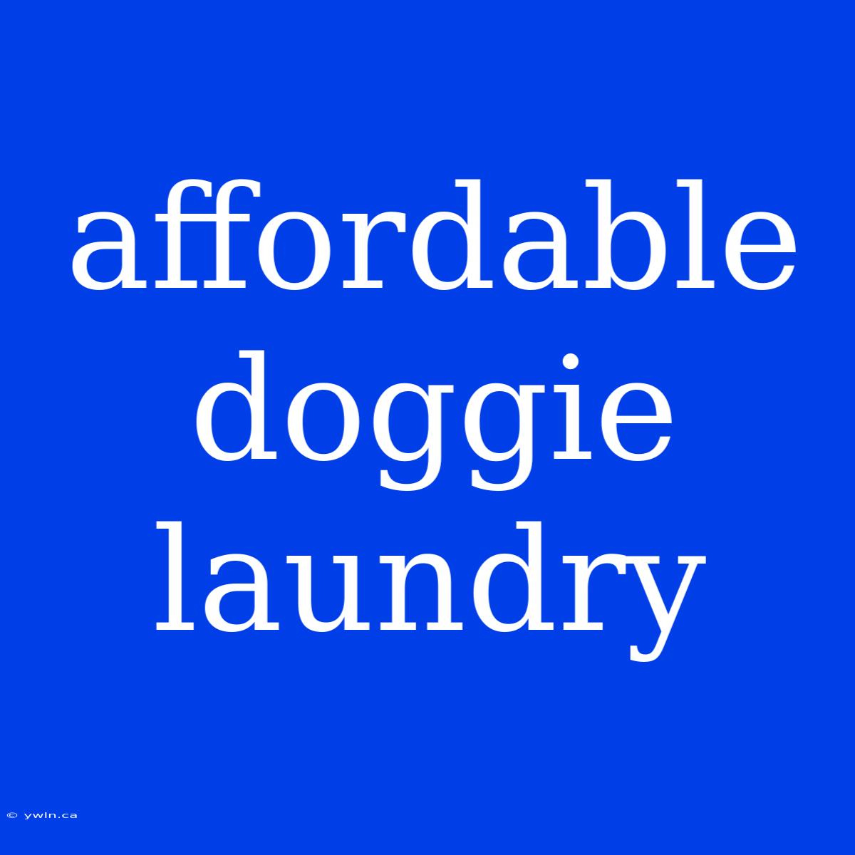 Affordable Doggie Laundry