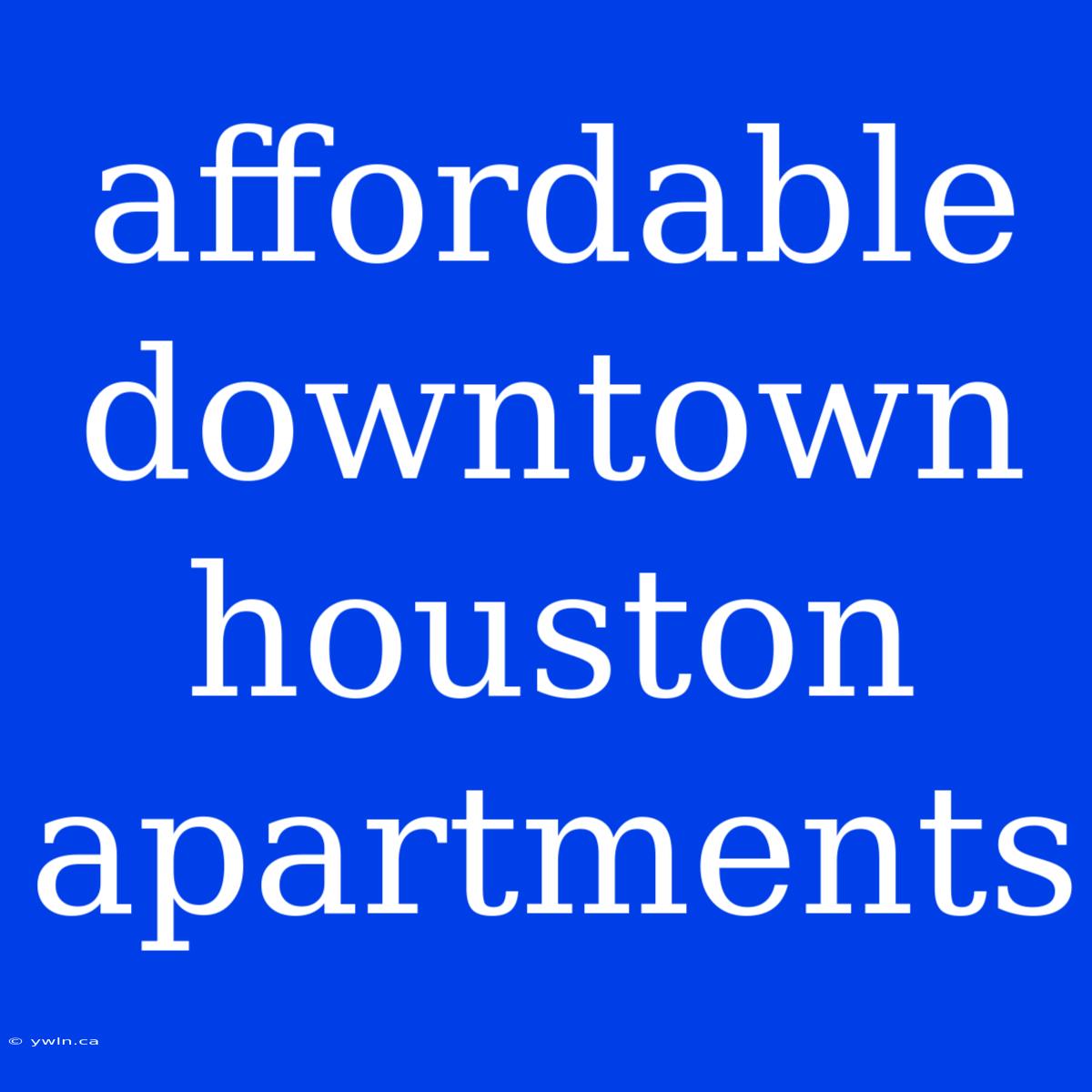 Affordable Downtown Houston Apartments