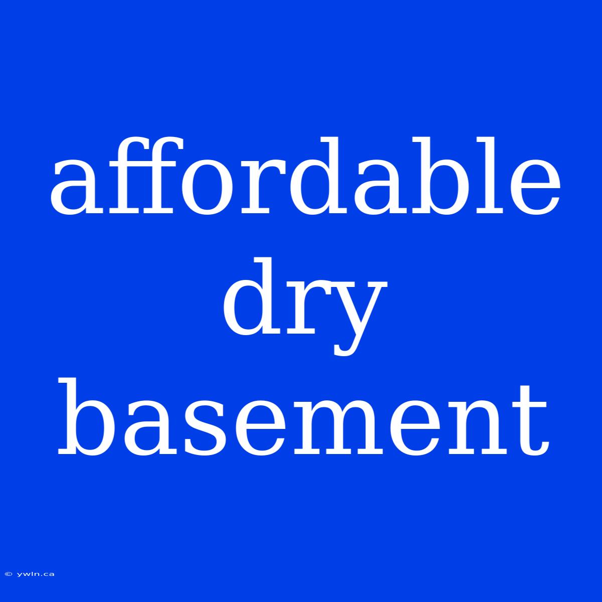 Affordable Dry Basement