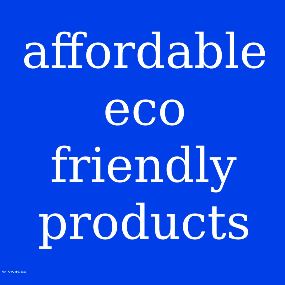 Affordable Eco Friendly Products