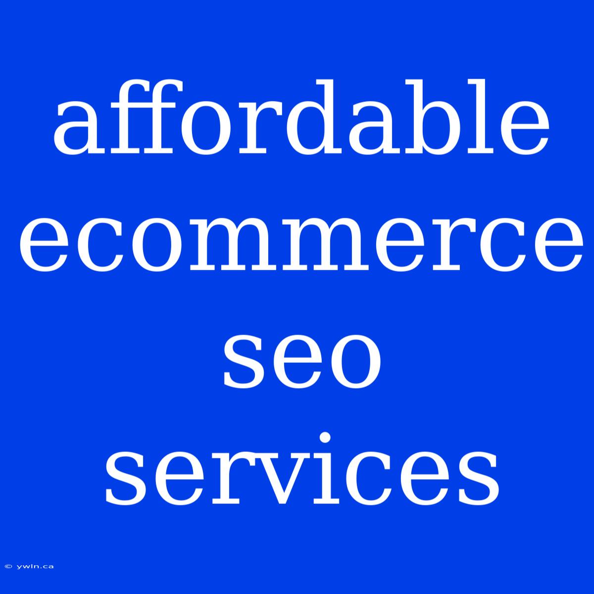 Affordable Ecommerce Seo Services