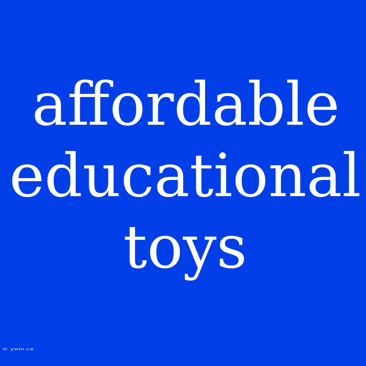 Affordable Educational Toys