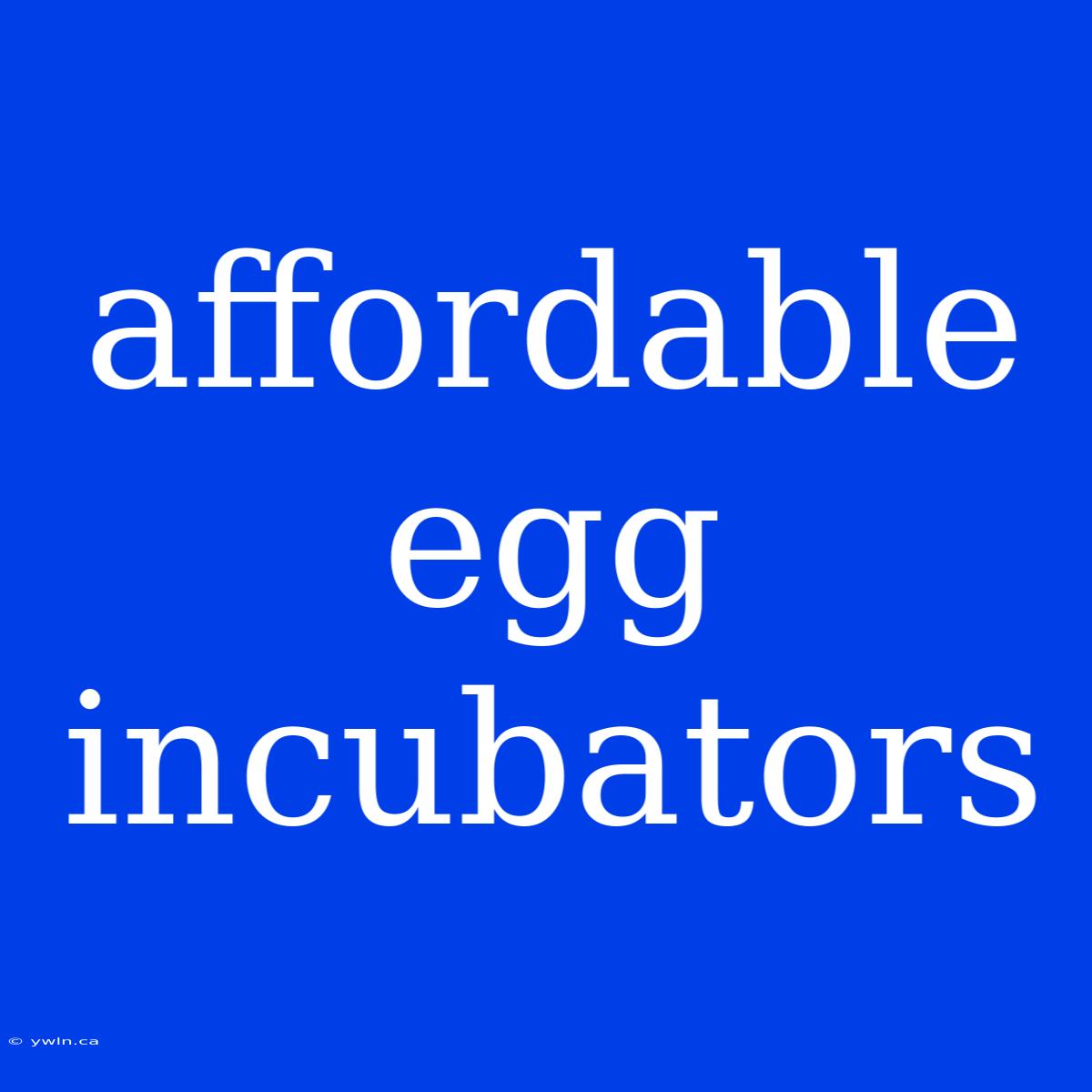 Affordable Egg Incubators