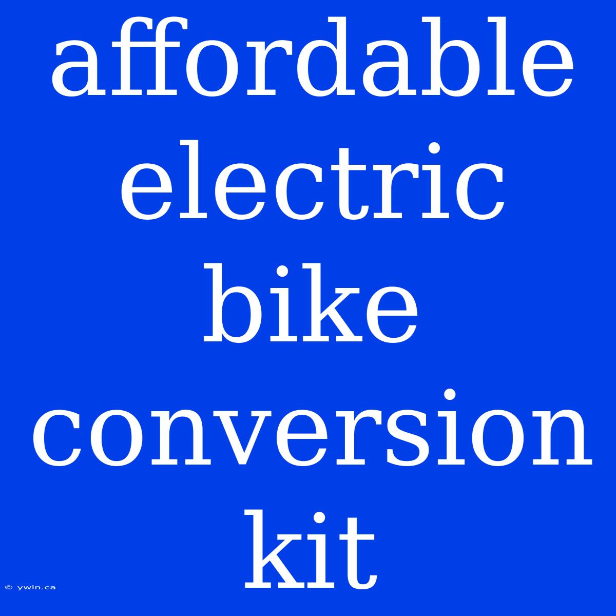 Affordable Electric Bike Conversion Kit