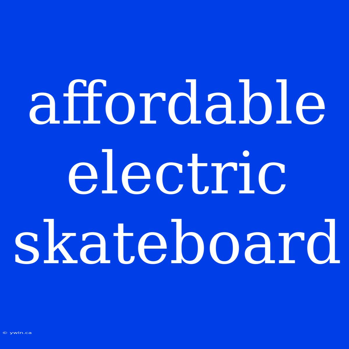 Affordable Electric Skateboard