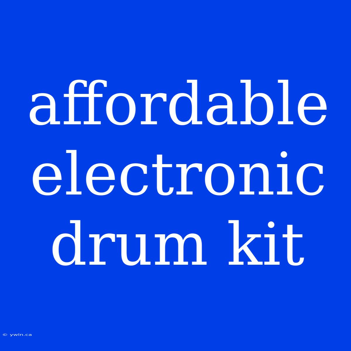 Affordable Electronic Drum Kit