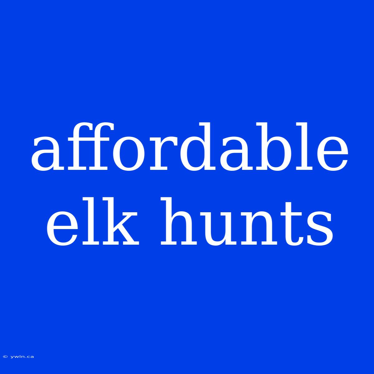 Affordable Elk Hunts