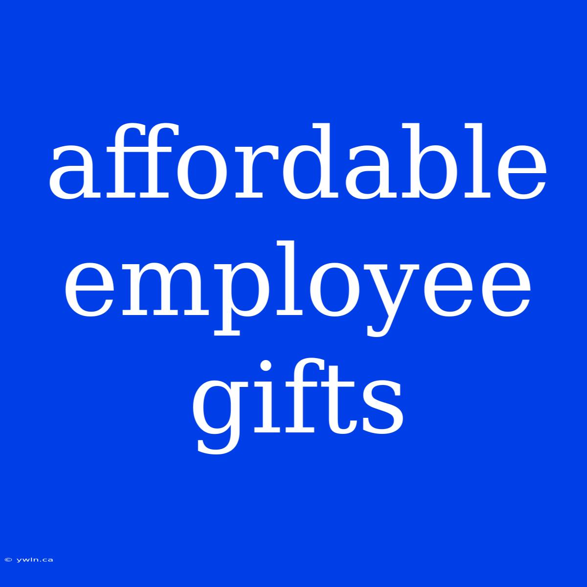 Affordable Employee Gifts