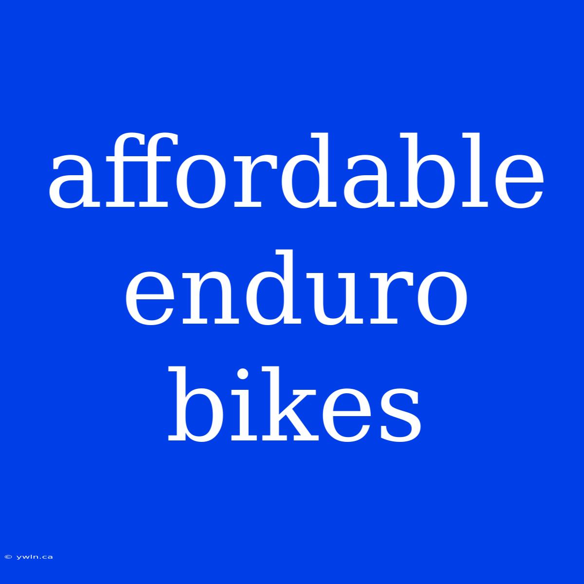 Affordable Enduro Bikes