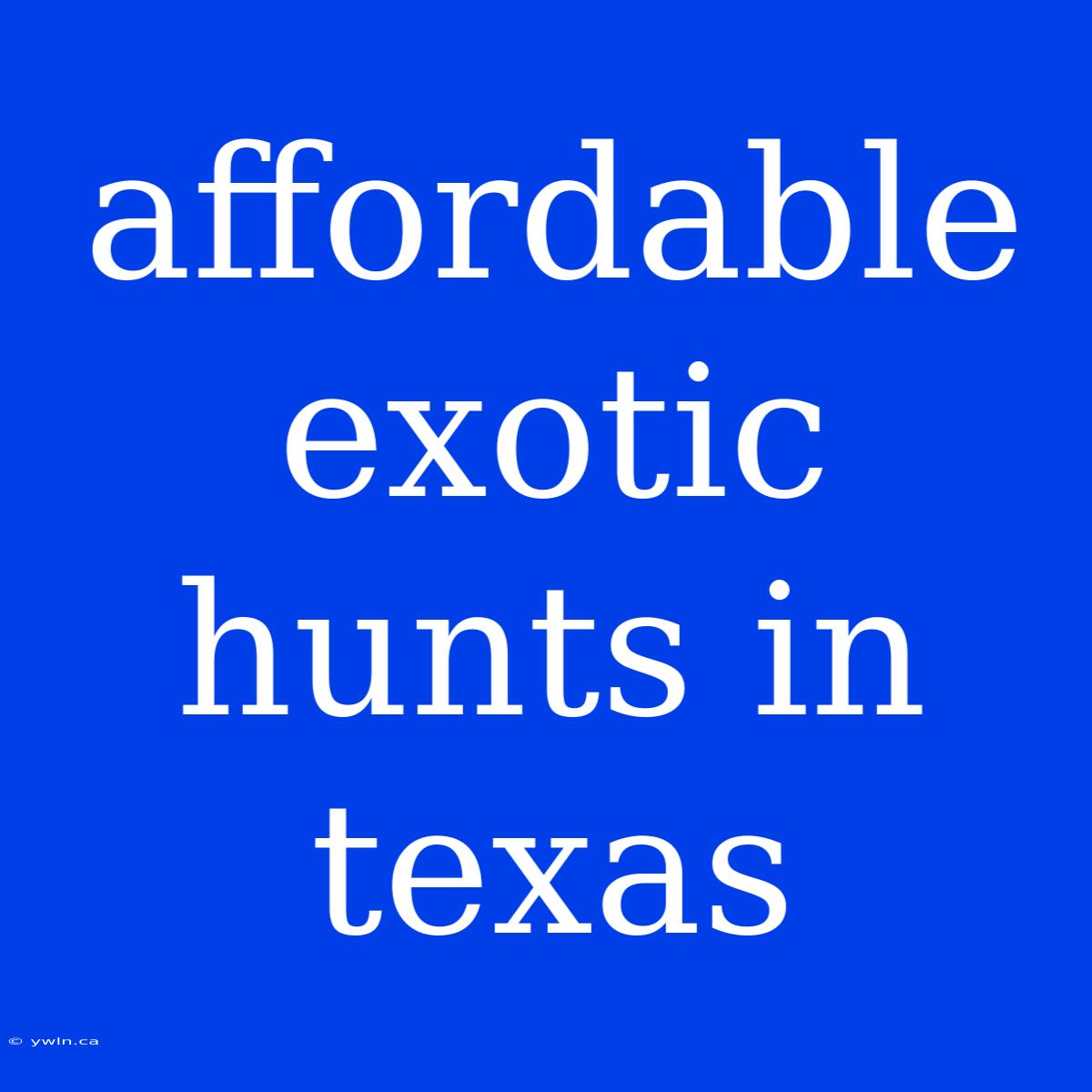 Affordable Exotic Hunts In Texas