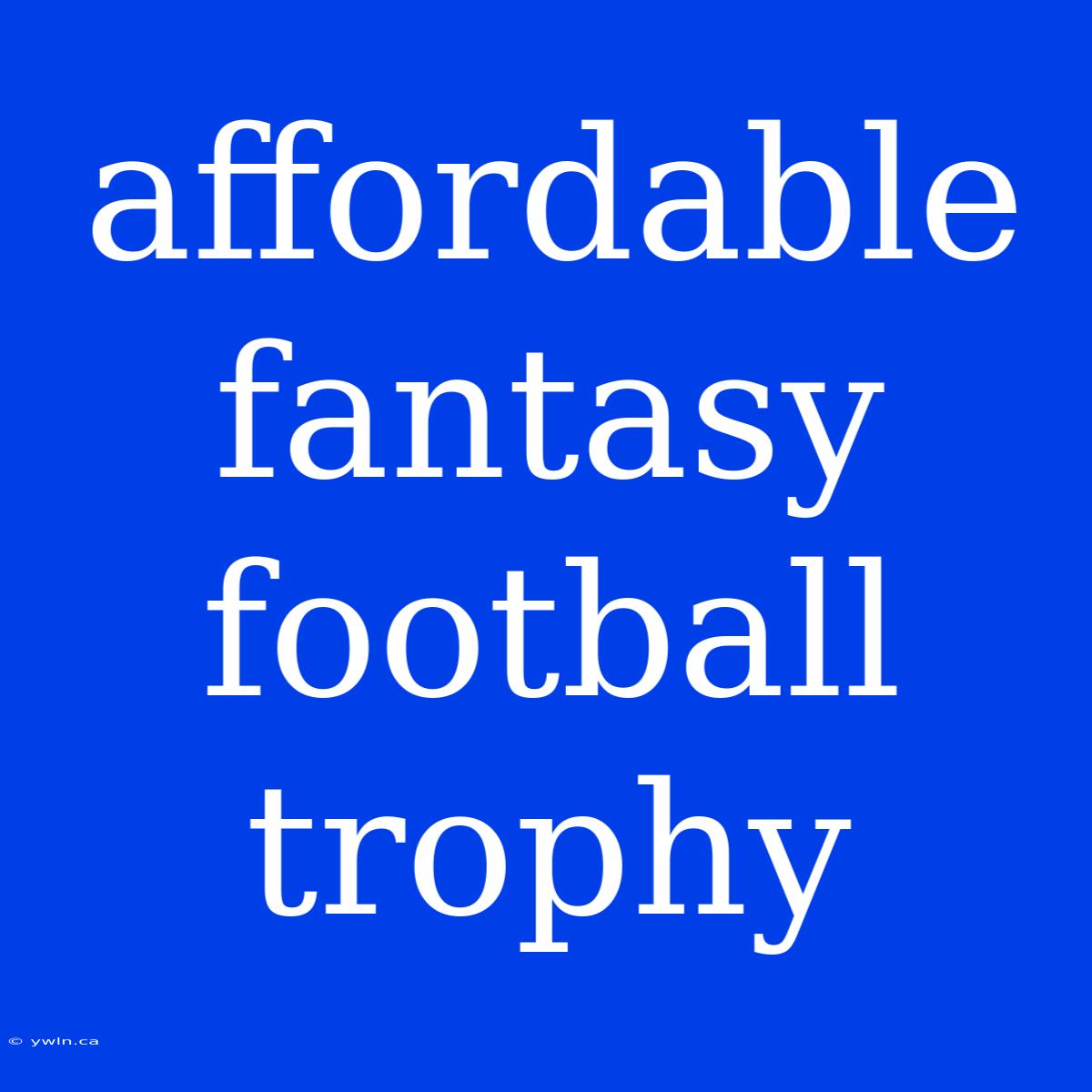 Affordable Fantasy Football Trophy