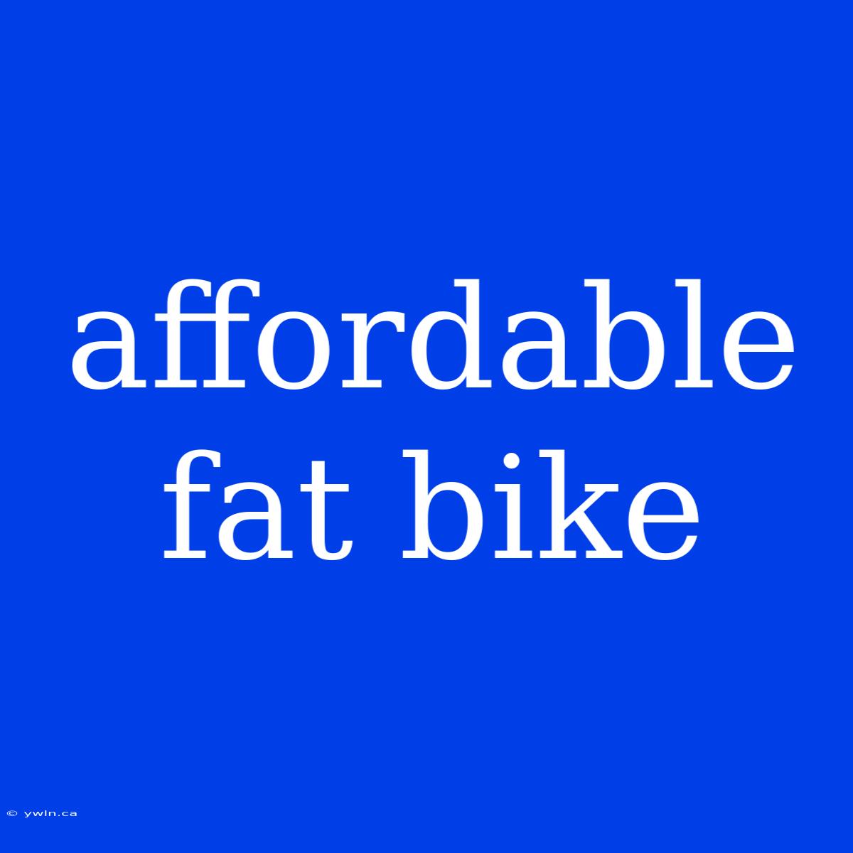 Affordable Fat Bike