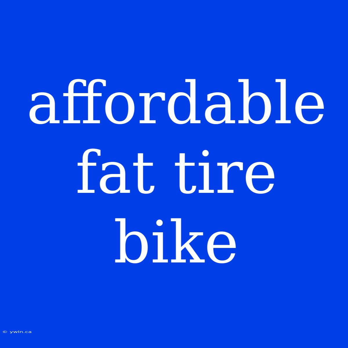 Affordable Fat Tire Bike