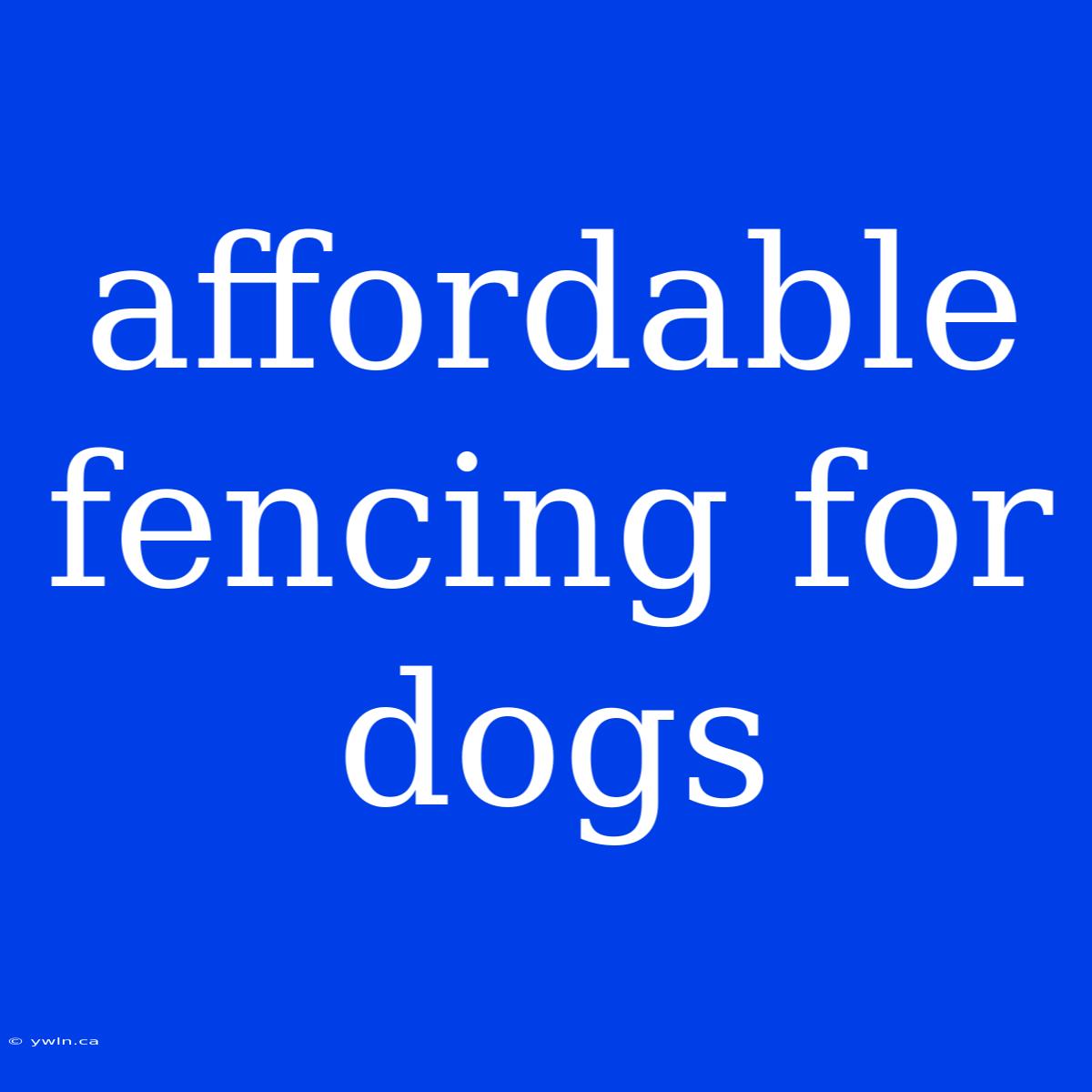 Affordable Fencing For Dogs