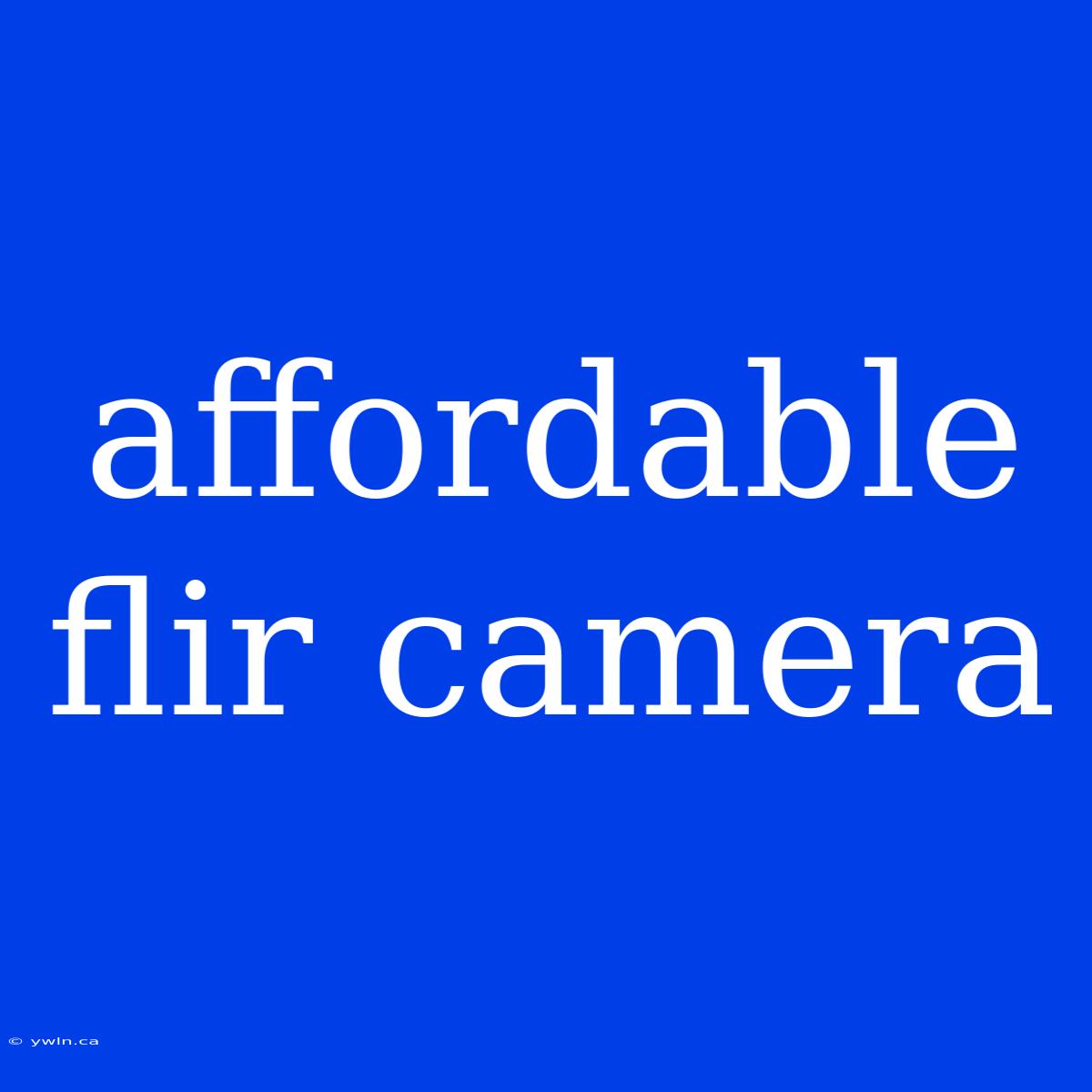 Affordable Flir Camera