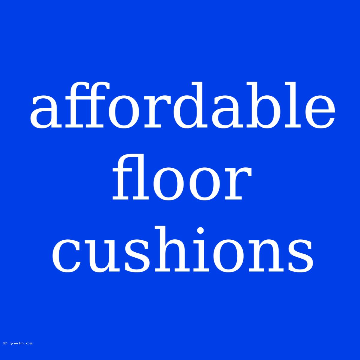 Affordable Floor Cushions