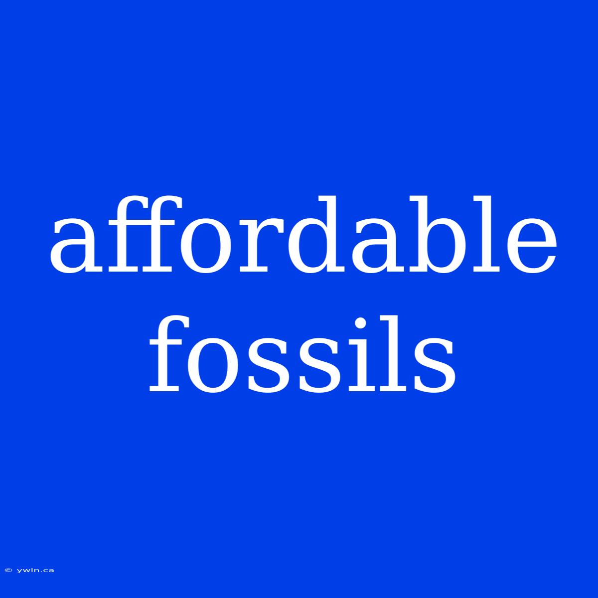 Affordable Fossils