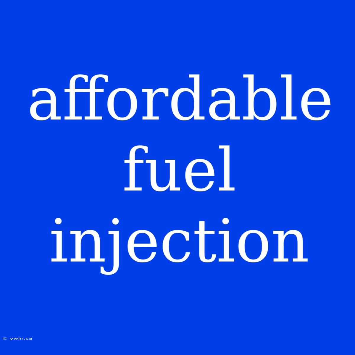 Affordable Fuel Injection