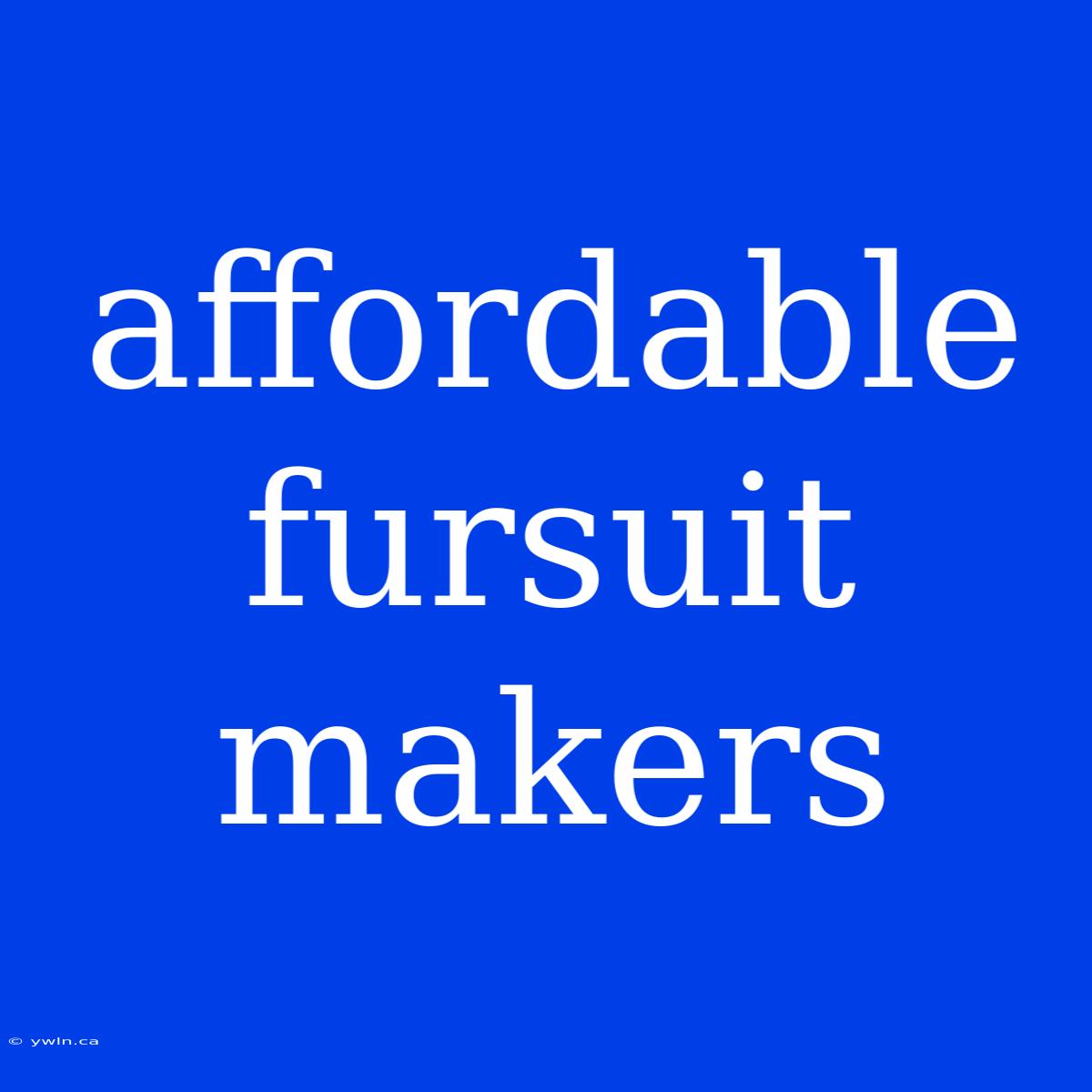 Affordable Fursuit Makers