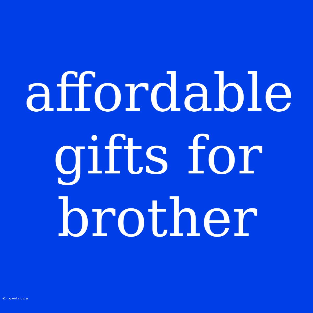 Affordable Gifts For Brother