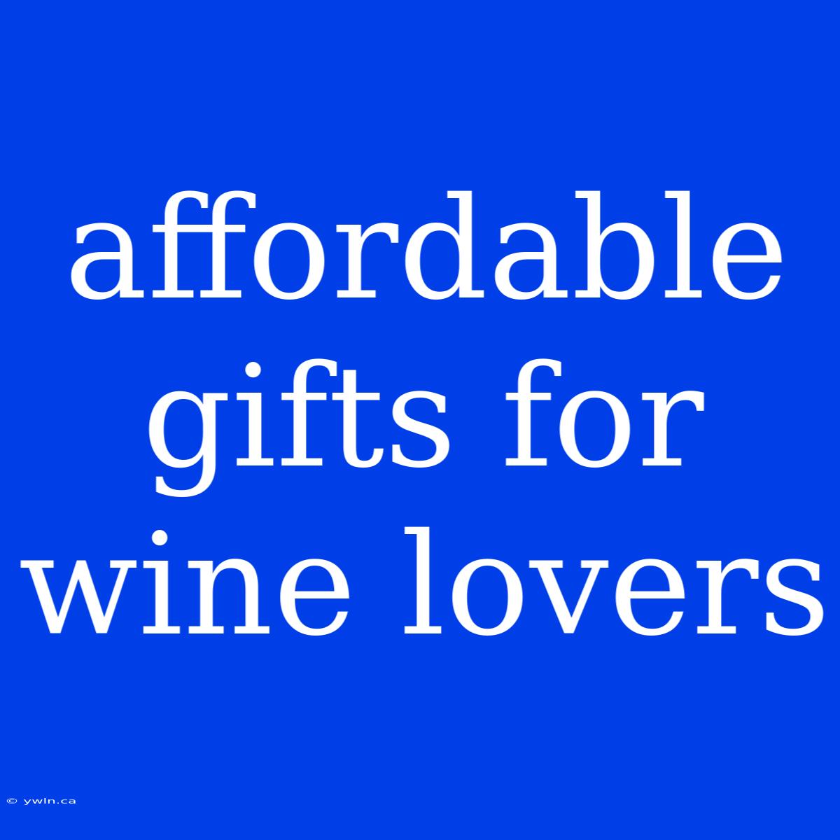 Affordable Gifts For Wine Lovers