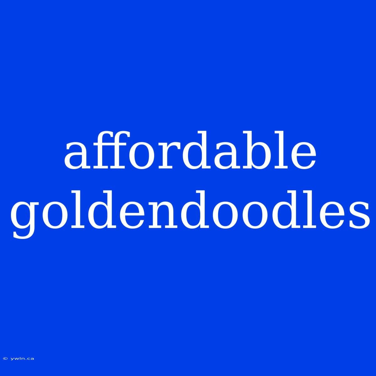 Affordable Goldendoodles