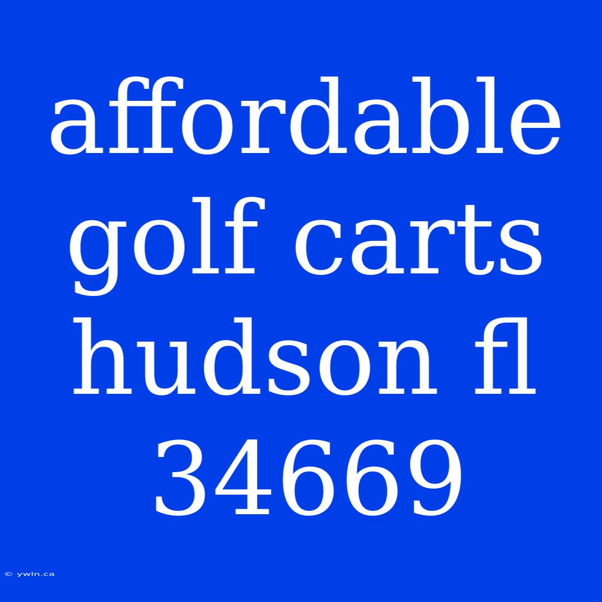 Affordable Golf Carts Hudson Fl 34669