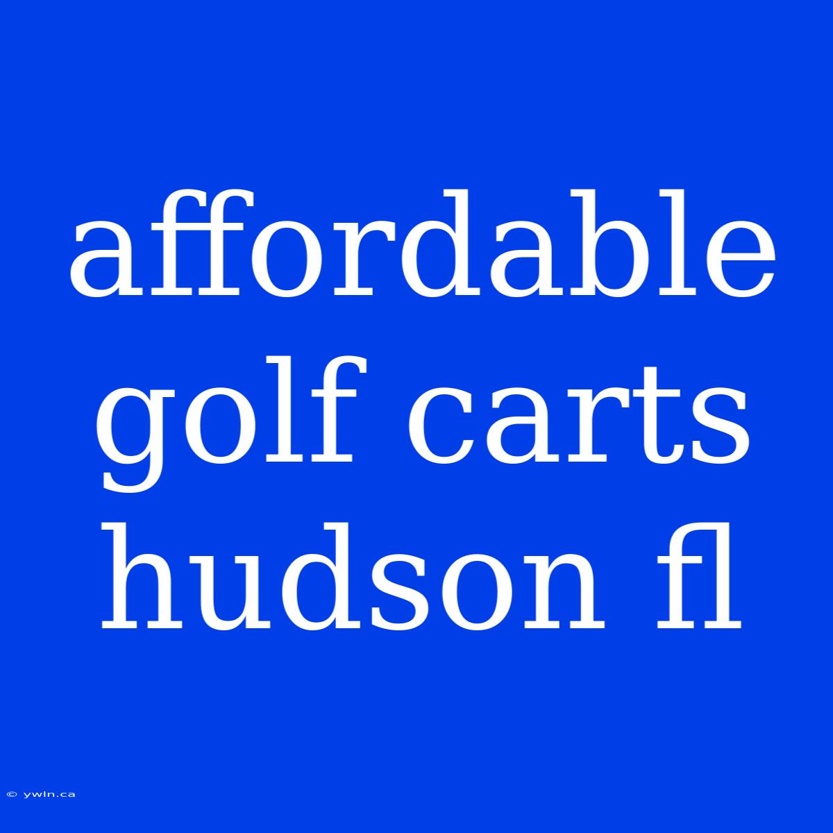 Affordable Golf Carts Hudson Fl