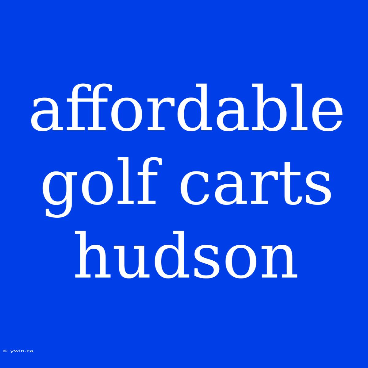 Affordable Golf Carts Hudson