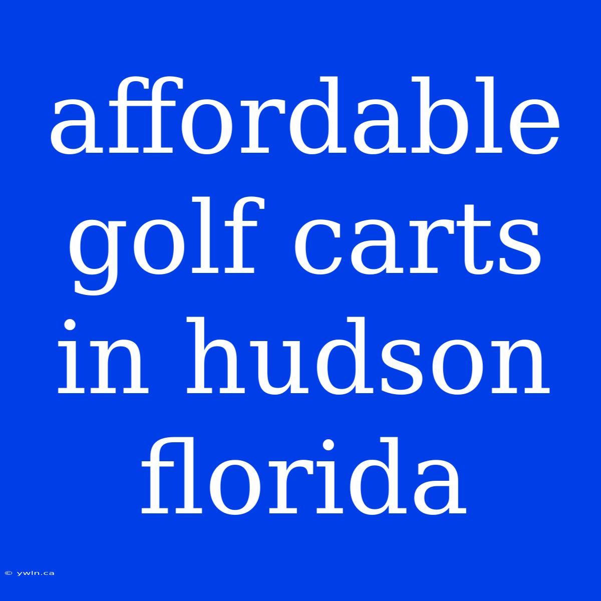 Affordable Golf Carts In Hudson Florida