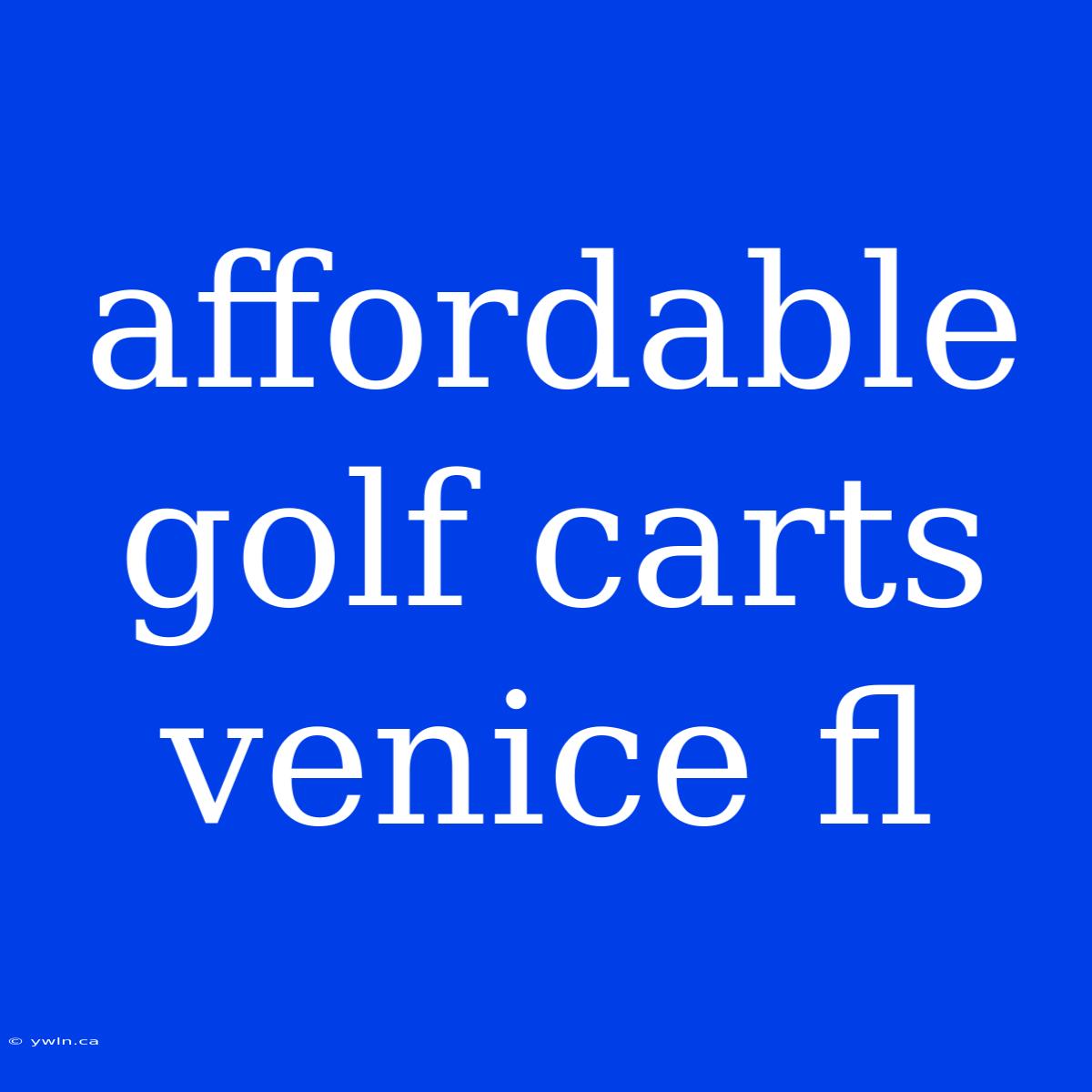 Affordable Golf Carts Venice Fl