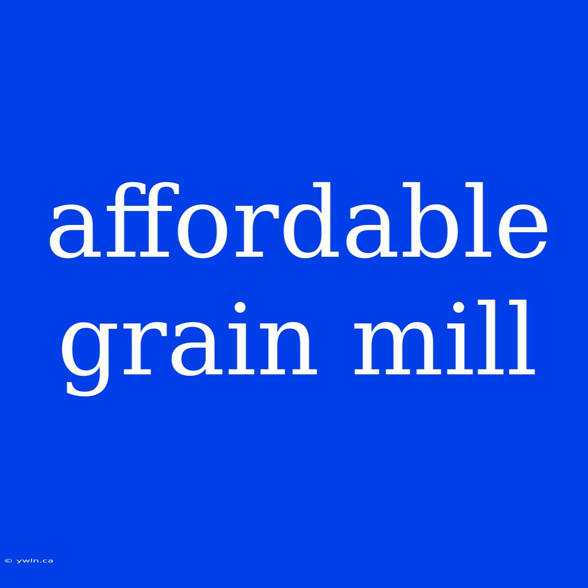 Affordable Grain Mill