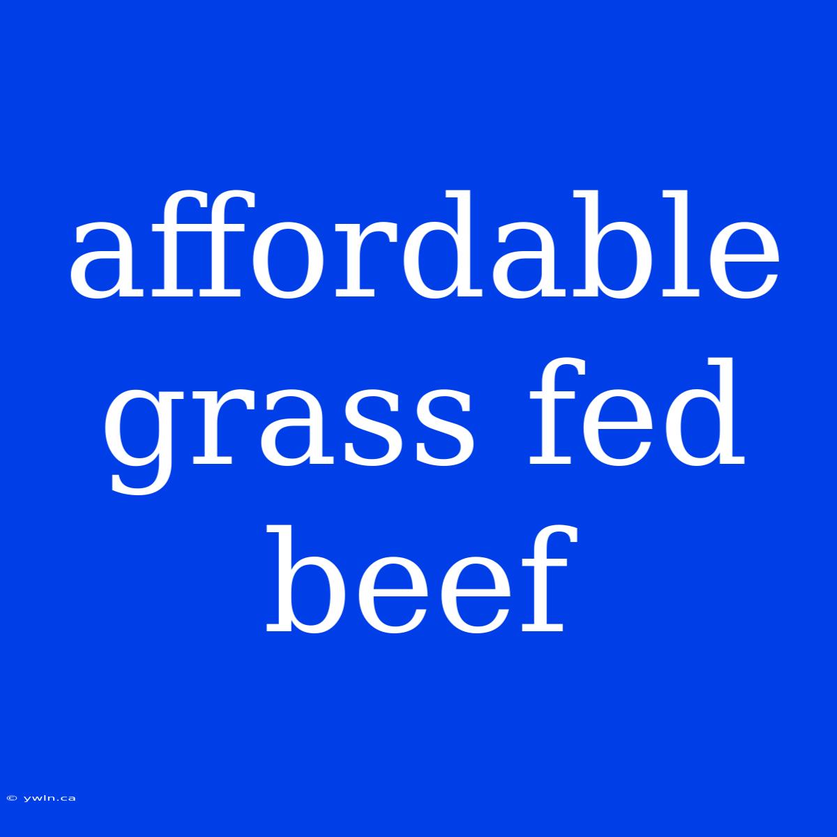 Affordable Grass Fed Beef