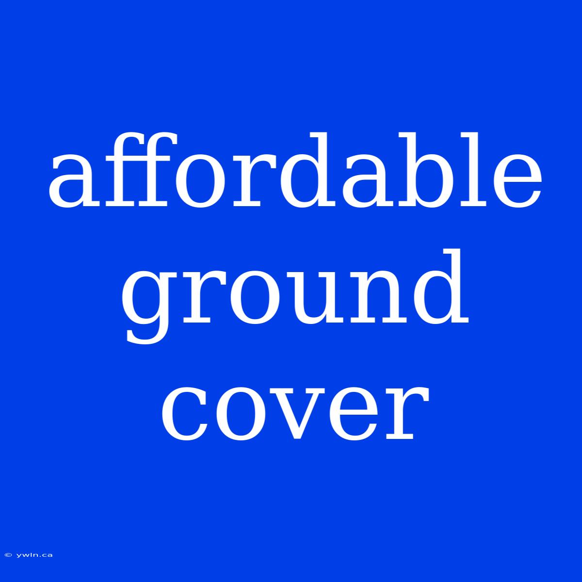 Affordable Ground Cover