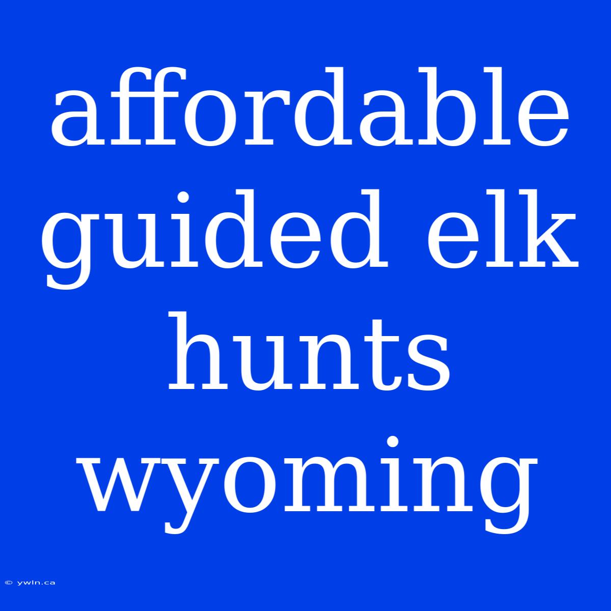 Affordable Guided Elk Hunts Wyoming