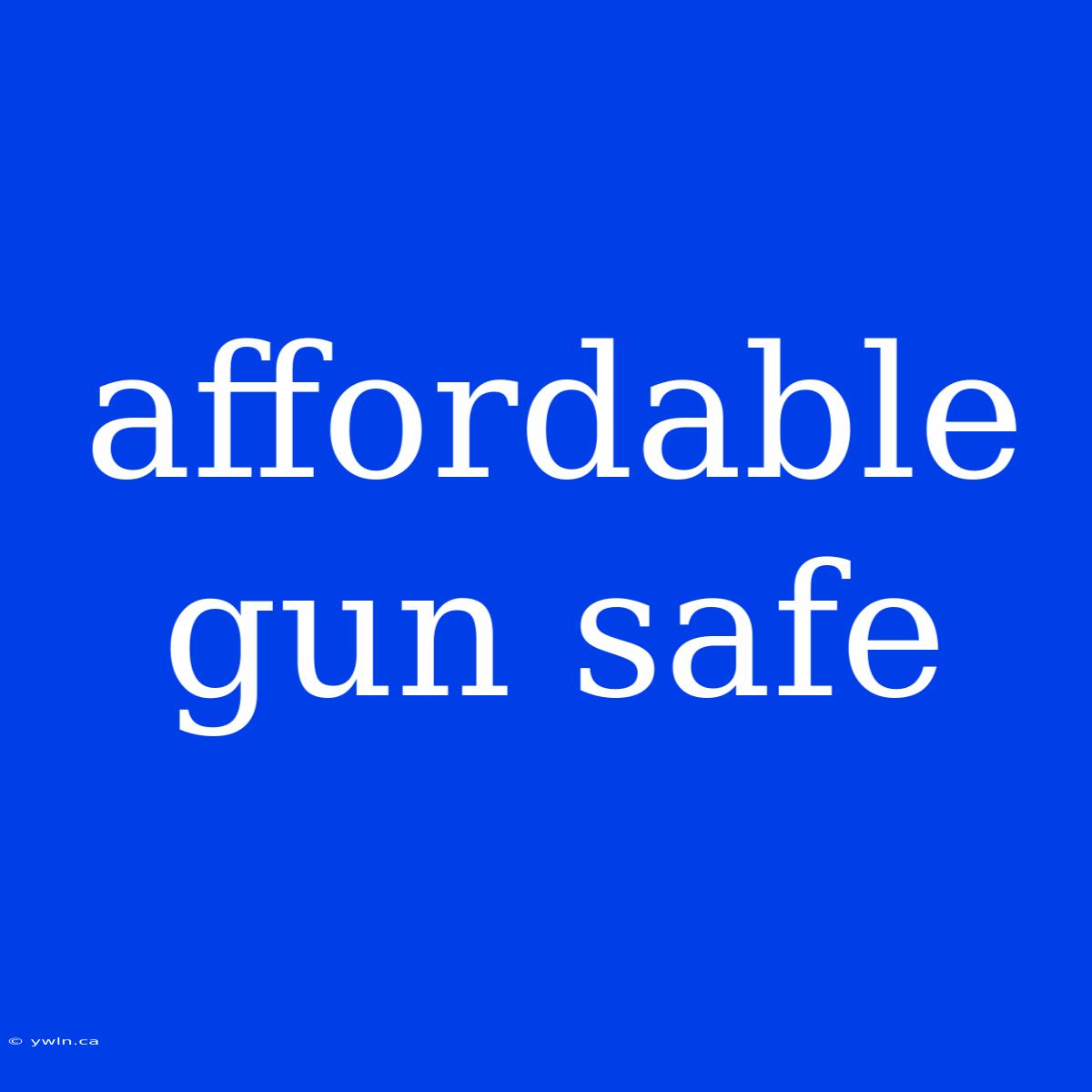 Affordable Gun Safe