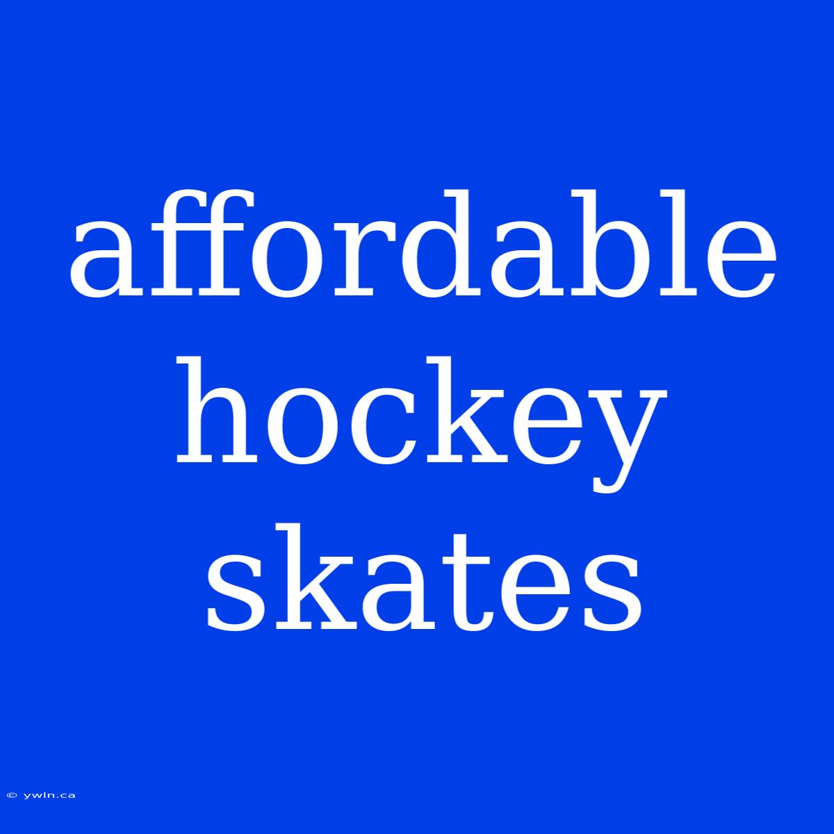 Affordable Hockey Skates