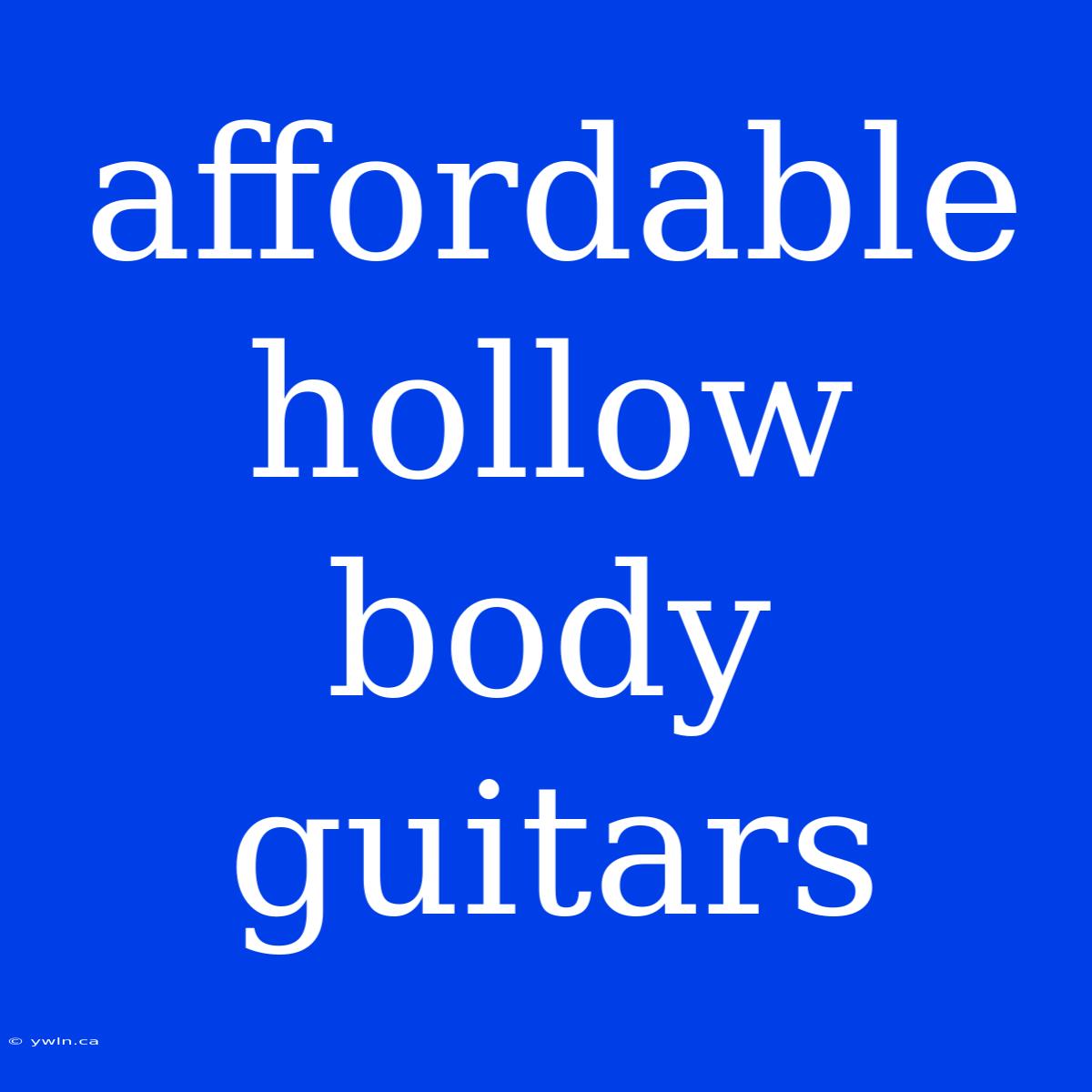 Affordable Hollow Body Guitars