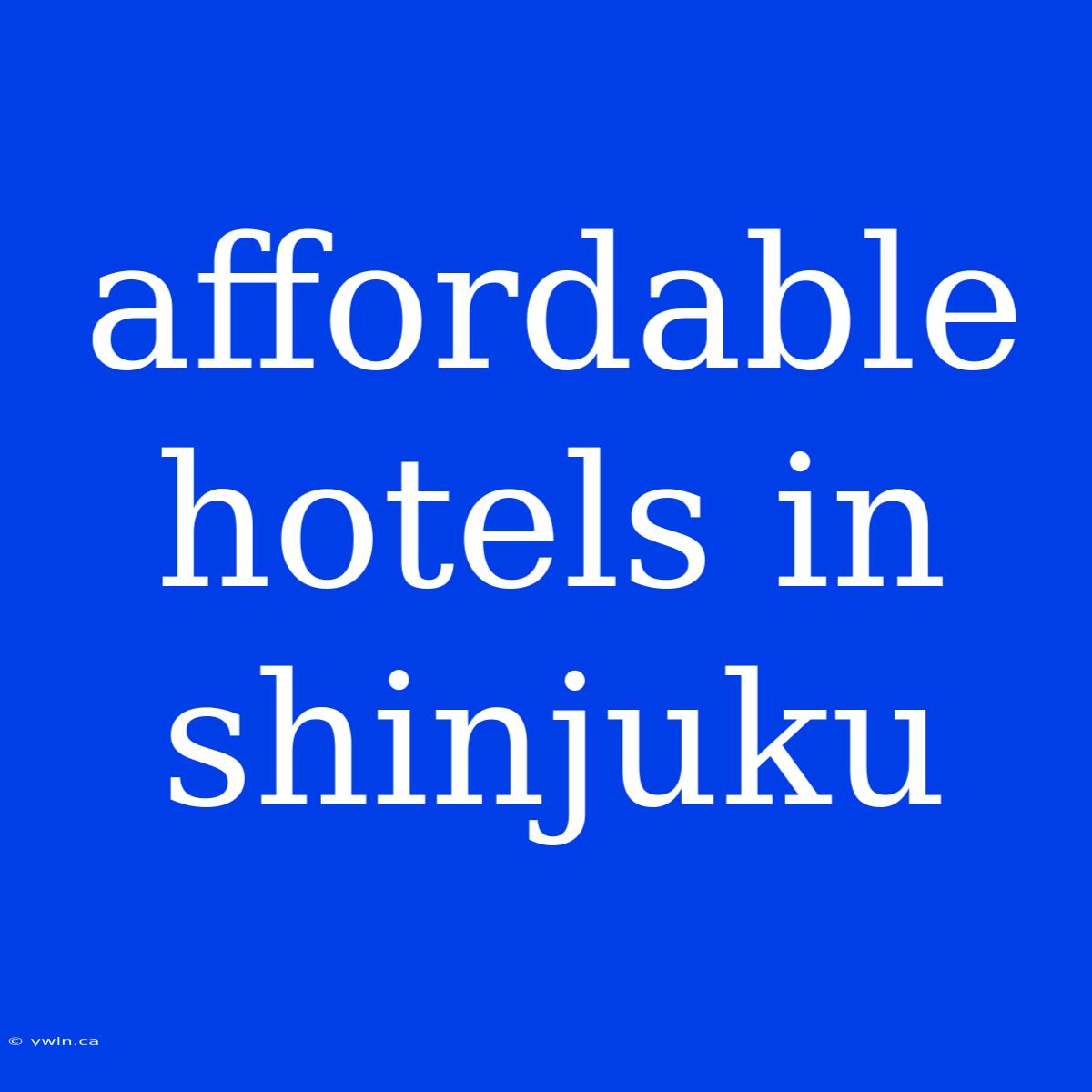 Affordable Hotels In Shinjuku