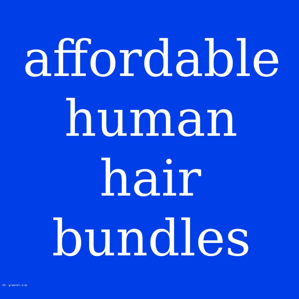 Affordable Human Hair Bundles