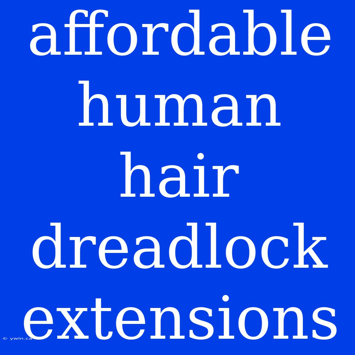 Affordable Human Hair Dreadlock Extensions