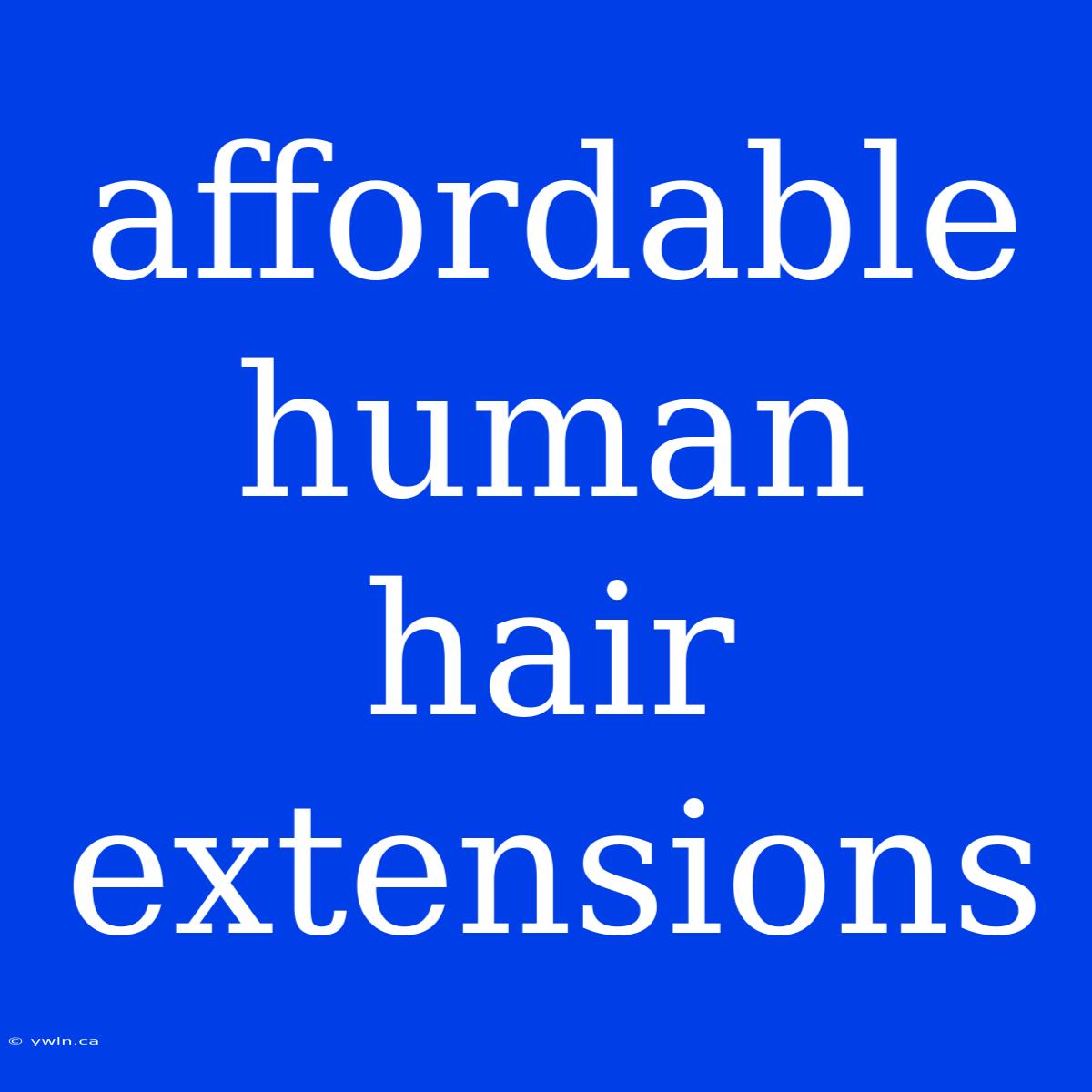 Affordable Human Hair Extensions